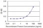 PSMB8 Antibody (monoclonal) (M01)